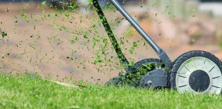 Best Lawn Mowers To Buy In 2018